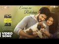 Ninu Veedani Needanu Nene Excuse Me Rakshasi Video Song Sundeep Kishan Anya Singh Thaman S