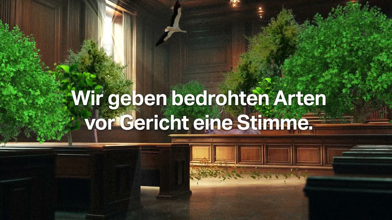 Wir geben bedrohten Wäldern eine Stimme vor Gericht