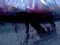 the GazettE [PV] / MAD MARBLE HELL VISION ...