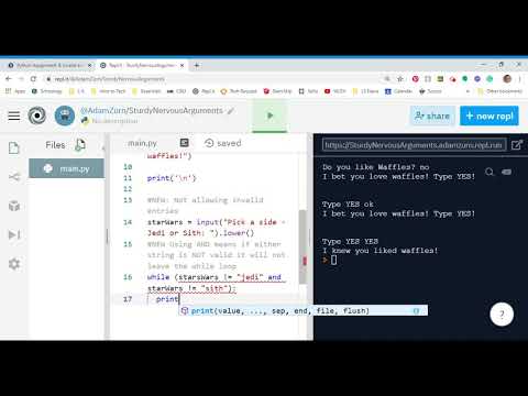 Python Assignment Invalid Entries Notes Video