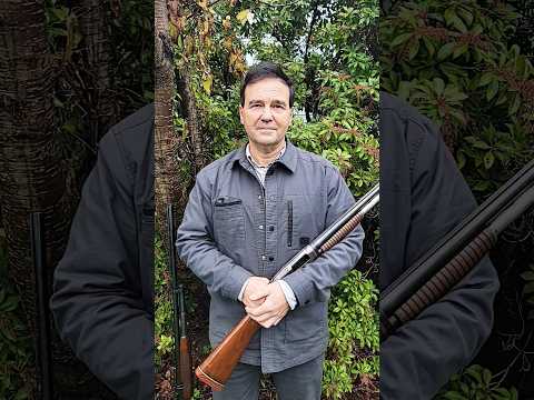 Winchester Model 12 : A Diamond Pump #winchester #shotgunsports #guncollection