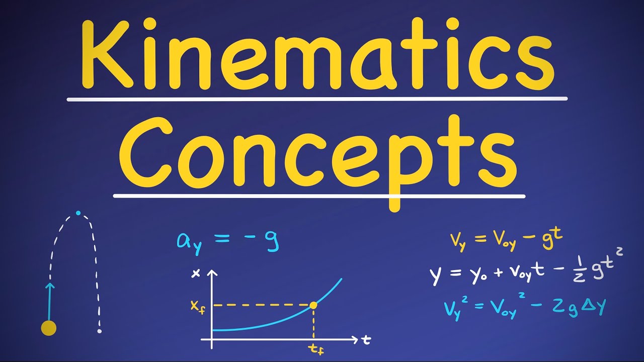 Kinematics in One Dimension [Basic Concepts]