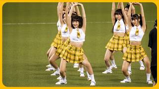 開場舞峮峮cam  峮峮（ちゅんちゅん）チュンチュン  Passion Sisters 中信兄弟啦啦隊 cheerleader 치어리더  臺北大巨蛋 2024/8/4【台湾チアTV】