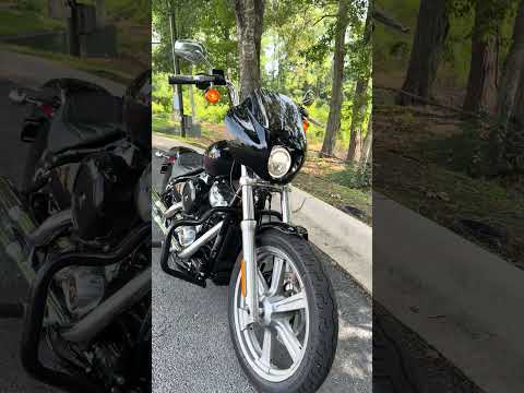 FXST 2023 Softail® Standard