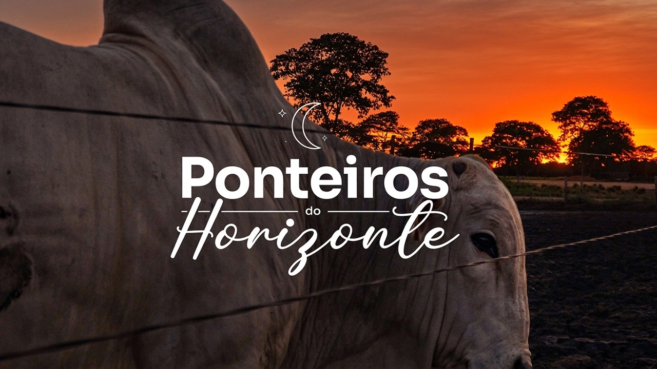 Ponteiros do Horizonte