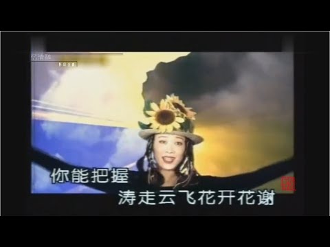 1995年 那英《雾里看花》经典MV 【高清】