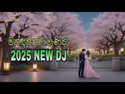 මන් දන්නවා මැනික - Man Dannawa Manika | 2025 New DJ Song