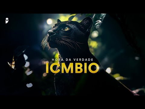 Hora da Verdade ICMBio: Noções de Informática - Prof. Emannuelle Gouveia