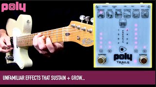 Video thumbnail for POLY TRAILS by Mike Hermans