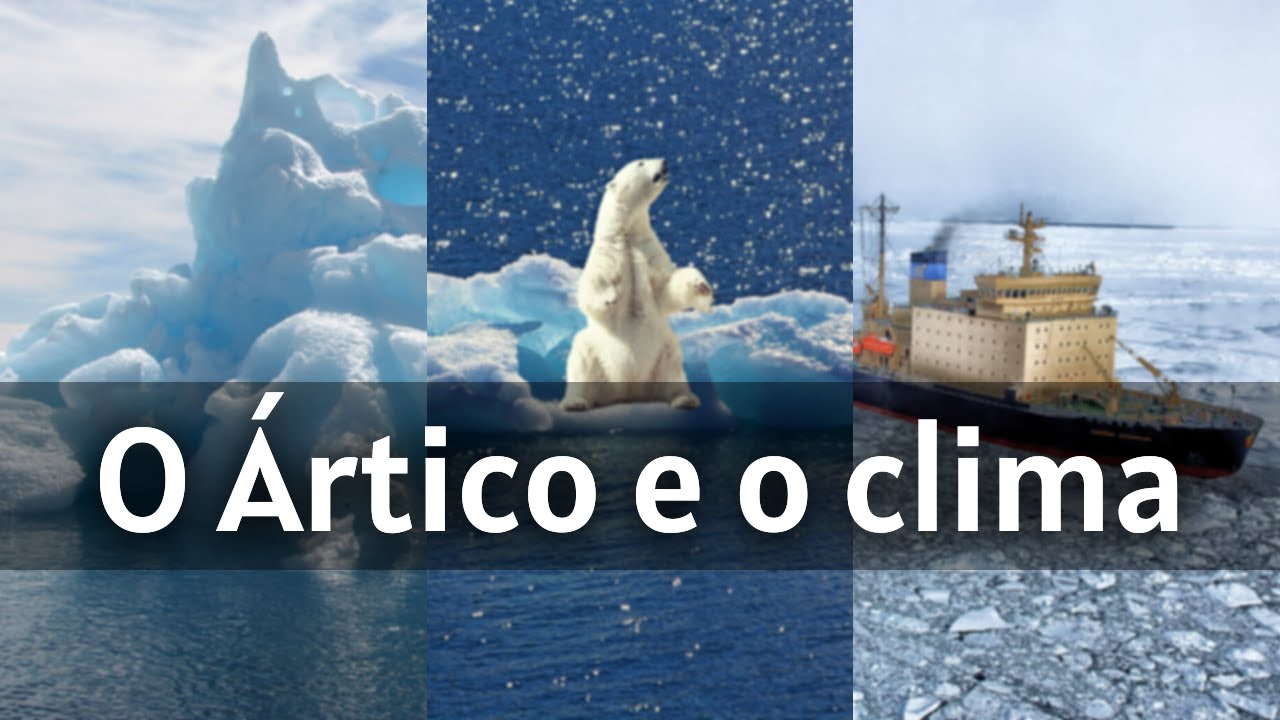 QUAL A IMPORTÂNCIA DO ÁRTICO PARA O PLANETA?