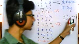 preview picture of video 'Bioinformatics part 3 Sequence alignment introduction'