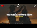 Nogayanna Santhapa Giithe Slowed Reverb Version 2025 Tiktok Viral Song