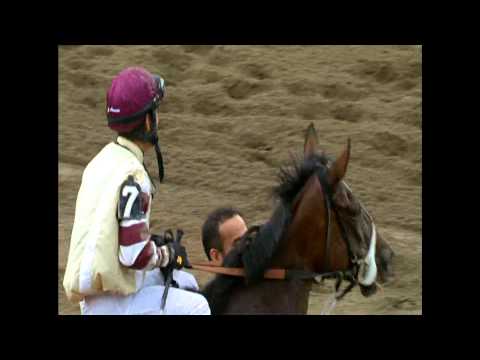 Go Unbridled - 2013 Saratoga Dew + Bonus