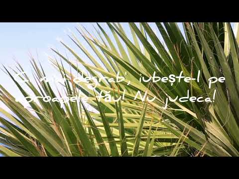 Lavinia Olariu - Nu judeca!