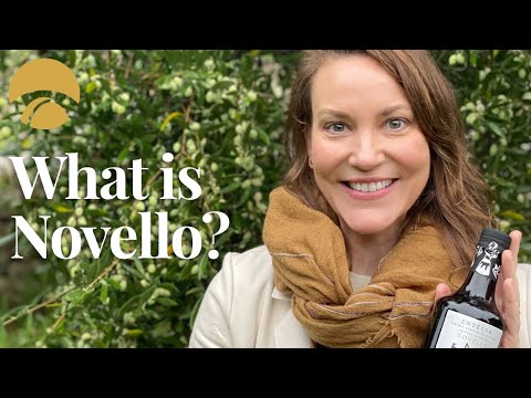 What is Novello? The Freshest Olive Oil You've Ever Tasted