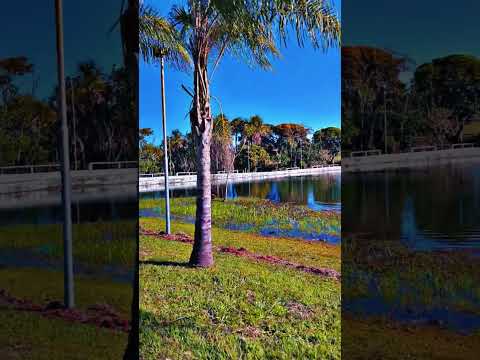 PIRACANJUBA GOIÁS  LAGO #automobile #vishnu #visualizar #fyp #criadordeconteúdo