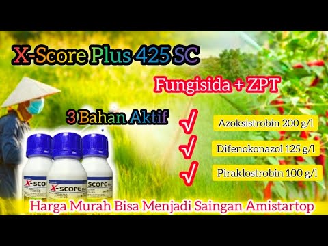 X-Score Plus 425 SC: Fungisida + ZPT Super Untuk Cabai, Padi, Bawang & Jagung!.