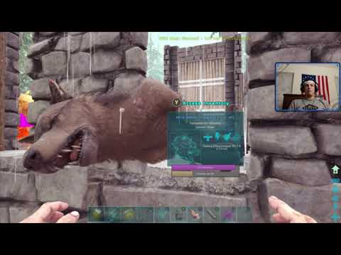 How to tame a Dire Wolf in ARK Survival Evolved! ARK "How To" Episode 2