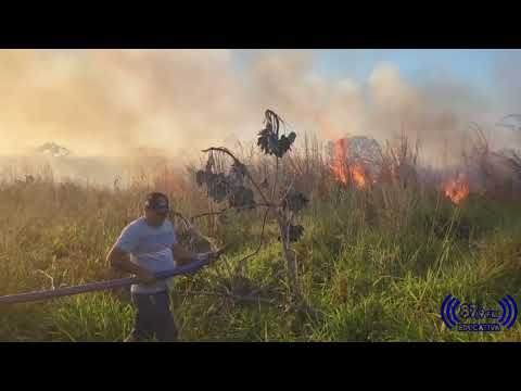 Incêndio de grandes proporções atinge muro de residências no bairro Santa Rita em Paranatinga