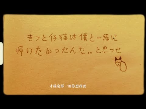 Video thumbnail for 沖繩流浪貓 (Okinawa Stray Cat)