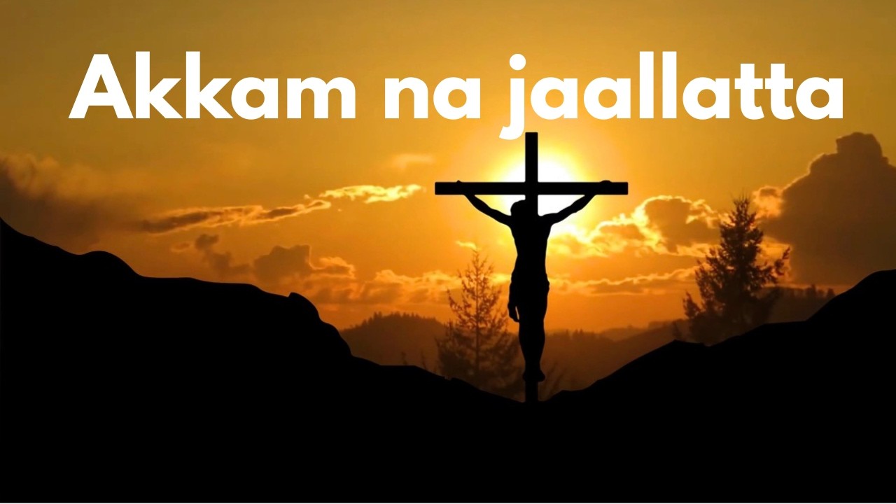 AKKAM NA JAALLATTA | Bikila Kebede | Faarfannaa Afaan Oromoo Haaraa 2026