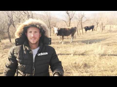 LA COTA MAXIMA SALCIA. AM GĂSIT BIVOLI..SI VACUTA CONI.