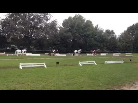 Dominique Bargfeld Stegen 9.13 - Teil1