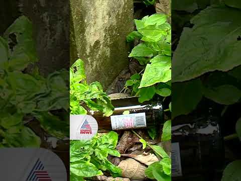 കെഎസ്‍യു പഠന ക്യാമ്പിന് ശേഷം ക്യാംപസില്‍ ഒഴിഞ്ഞ മദ്യക്കുപ്പികളും മാലിന്യവും; പരാതിയുമായി എസ്എഫ്ഐ