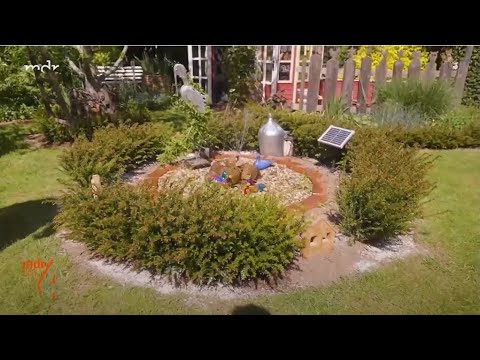 Die drei häufigsten Probleme der Eibe