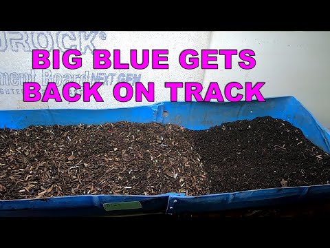 55 GALLON DIY WORM BIN WEDGE METHOD