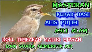 Download lagu Kicauan Burung Kerak Basi Alis putih Asli Alam Gacor Nembak Panjang #masteranburung #burungkicau mp3