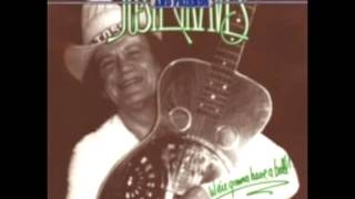 We're Gonna Have A Ball! [1979] - Josh Graves And Friends