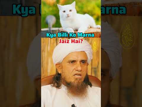 Kya Billi Ko Marna Jaiz Hai | Mufti Tariq Masood Status