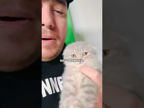 100 LIBA HARD TECHNO Zsozénak meg Bandikának #csao #pixa #funny #remix #party #techno #dj