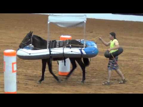 2012 Supreme Extreme Mustang Makeover Youth Freestyle Finals