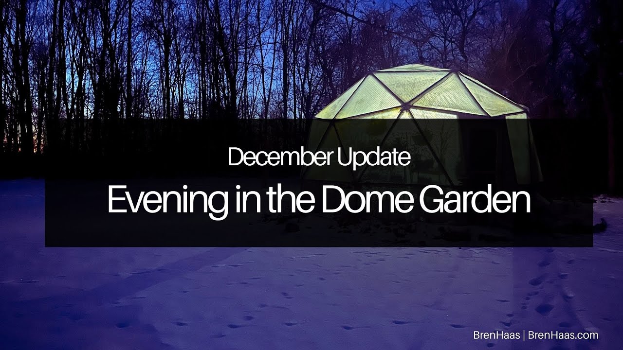 December Update Evening in the Dome
