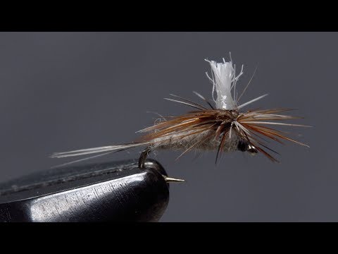 Parachute Adams Size 22