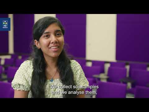Student Story: Priya (Environmental Science & Sustainability)