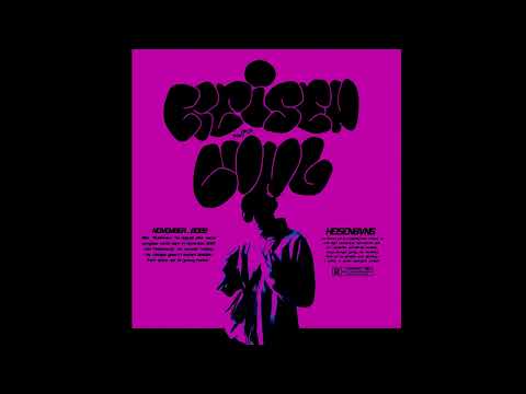 BVNGBELV  - didier drugbars