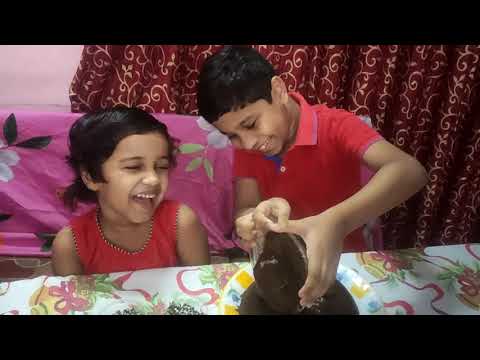 Cake Decorations by Ben & Benita Renju || Ganache Pouring