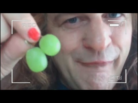 Fruktstund med Morran