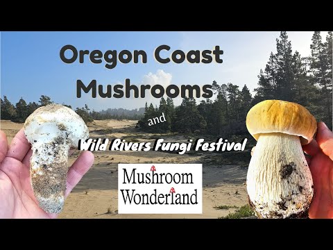 Oregon Coast Mushrooms and Wild Rivers Mushroom Festival Vlog
