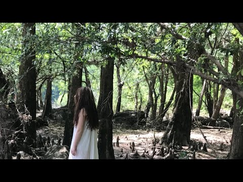 As the Waters Rise ( Revised Edition)