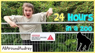 24 Hours In A ZOO / AllAroundAudrey