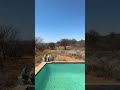 Room Tour At Mateya Safari Lodge In Madikwe South Africa