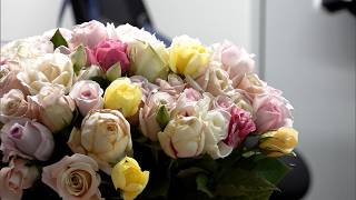 4月23日【びわ湖放送ニュース】びわ湖の水を守る「食べられるバラ」プロジェクトが始動