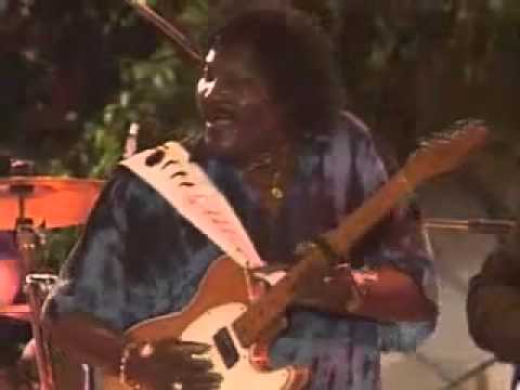 Albert Collins   Honey Hush