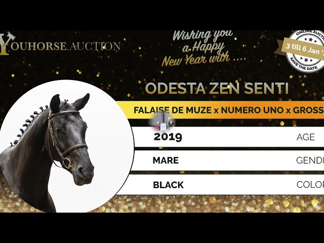 Odesta Zen Senti showvideo indoor