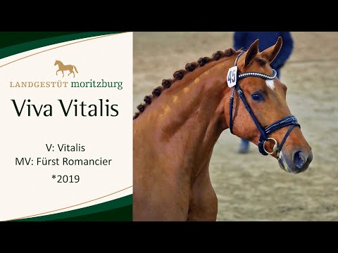 VIVA VITALIS v. Vitalis - Fürst Romancier