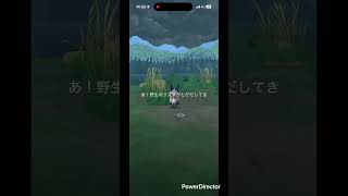 クスネ色違い✨ #pokemongo #pokemon #ポケgo #shinypokemon #pokémon #shiny
